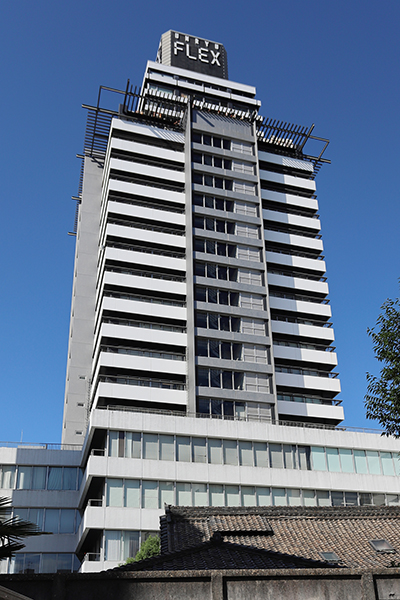 雲竜フレックスビル
