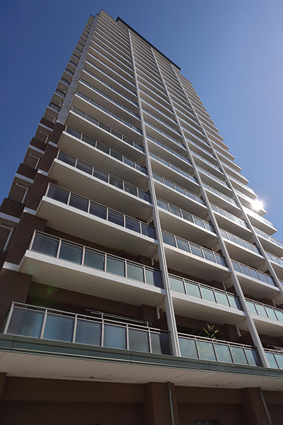 ル・サンク中の橋タワーレジデンス