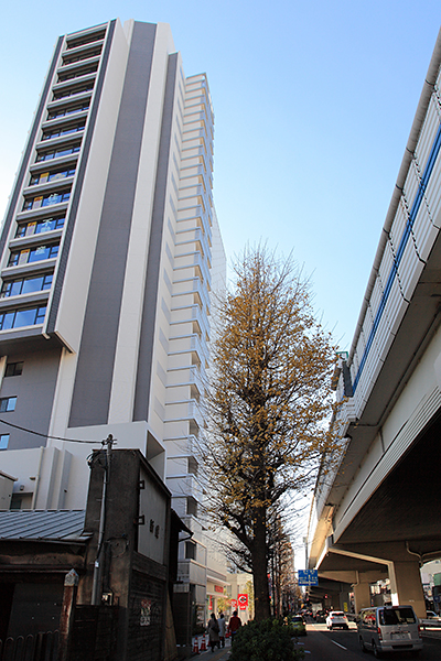 シティタワー駒沢大学ステーションコート