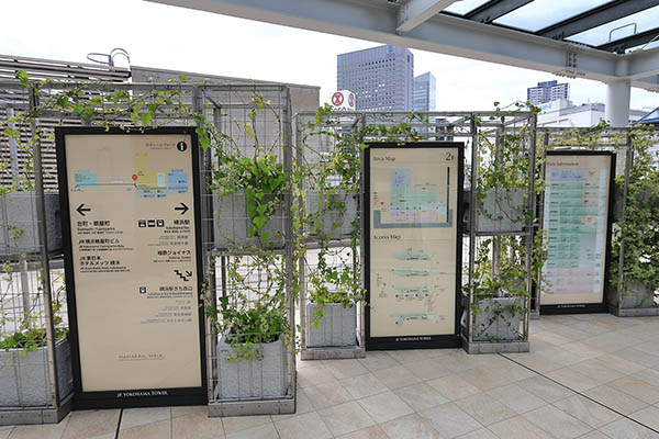 横浜駅きた西口鶴屋地区第一種市街地再開発事業の建築計画のお知らせ