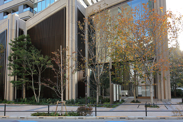 麻布台ヒルズレジデンスB