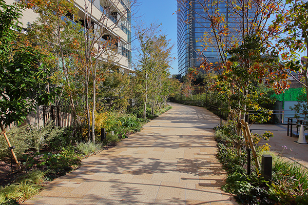 麻布台ヒルズレジデンスB