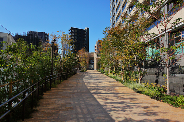 麻布台ヒルズレジデンスB