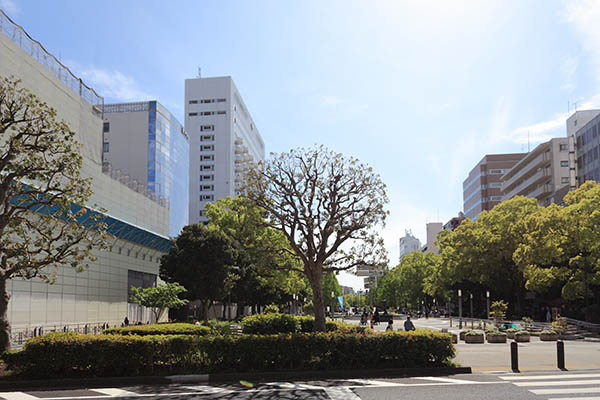 (仮称)関東学院横浜都心キャンパス