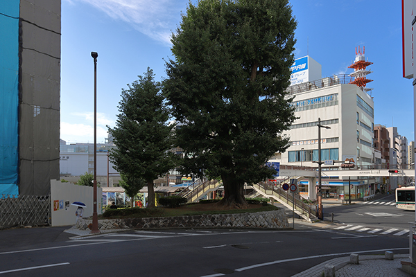 デュオヒルズ水戸三の丸タワー (コモンスクエア水戸)