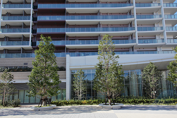 HARUMI FLAG SKY DUO(晴海フラッグ スカイ デュオ)