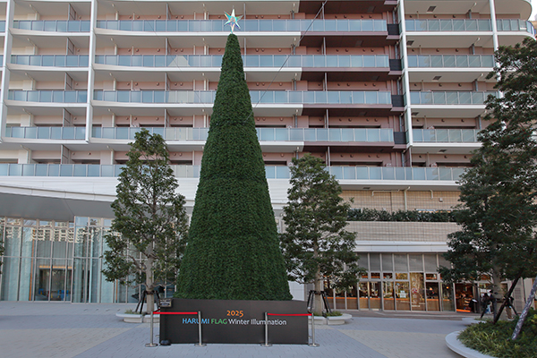 HARUMI FLAG SKY DUO(晴海フラッグ スカイ デュオ)