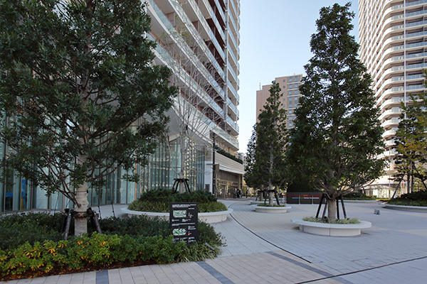 HARUMI FLAG SKY DUO(晴海フラッグ スカイ デュオ)