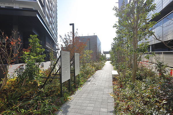 ベイシティタワーズ神戸 EAST