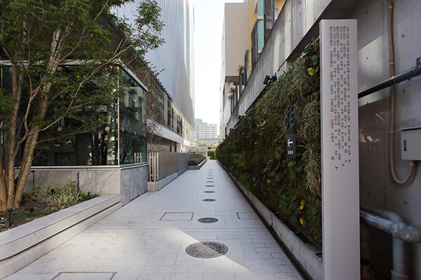 ミタマチテラス