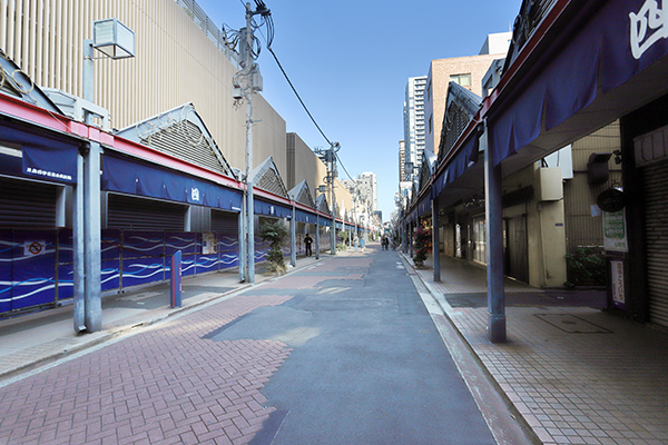 グランドシティタワー月島