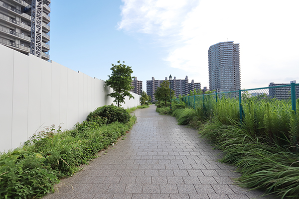 シティタワー千住大橋