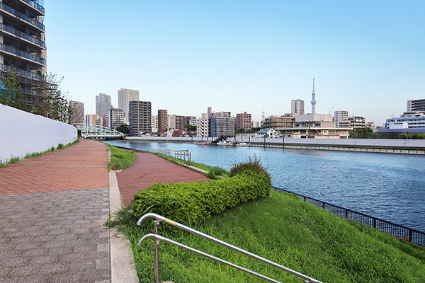 シティタワー千住大橋