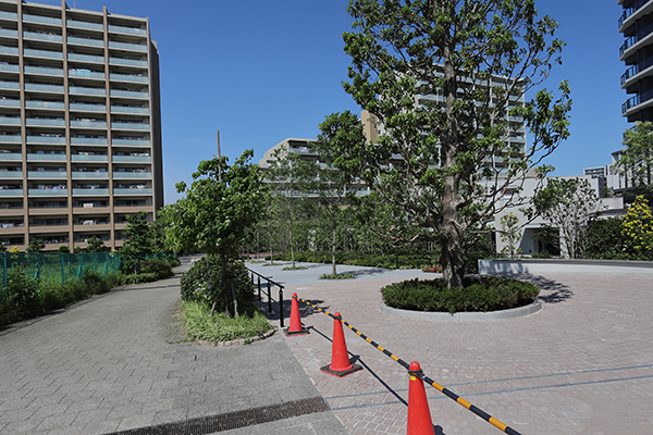 シティタワー千住大橋
