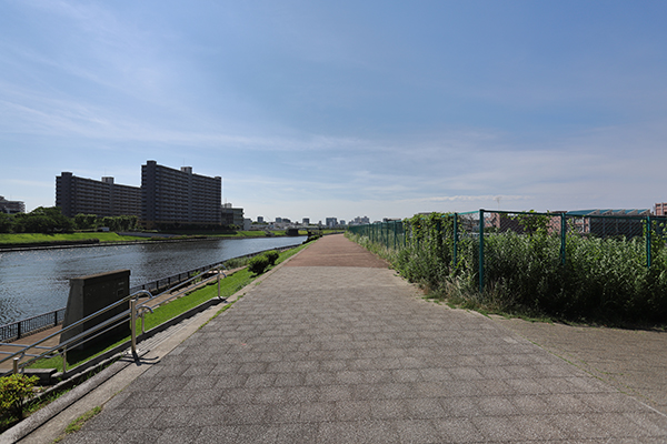 シティタワー千住大橋