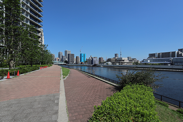 シティタワー千住大橋