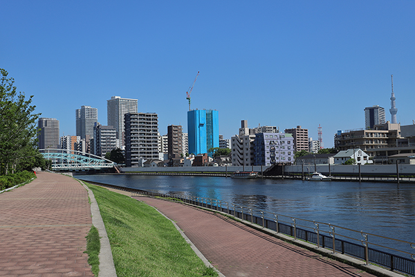 シティタワー千住大橋