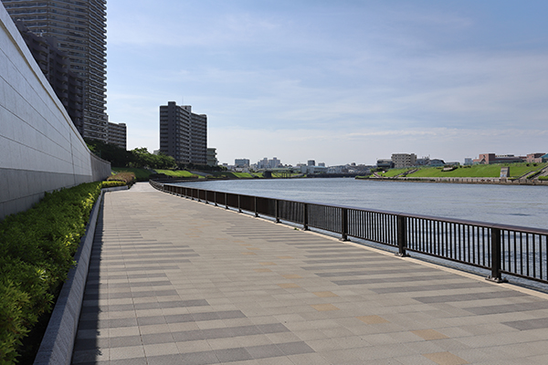 シティタワー千住大橋
