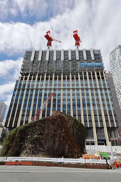 (仮称)明治安田生命新宿ビル