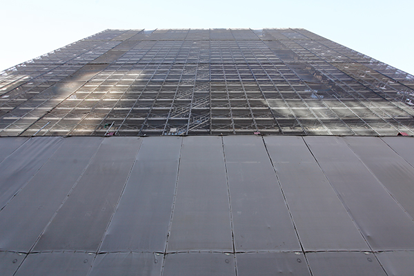 日本橋本町三井ビルディング ＆forest