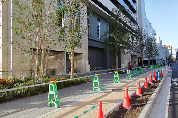 シティタワー綾瀬