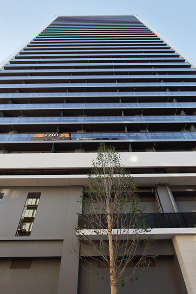 シティタワー綾瀬