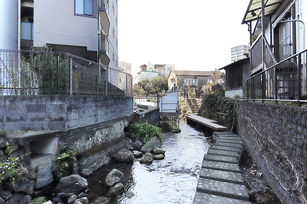 プレシスタワー三島広小路