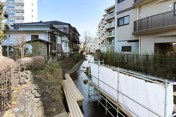 プレシスタワー三島広小路