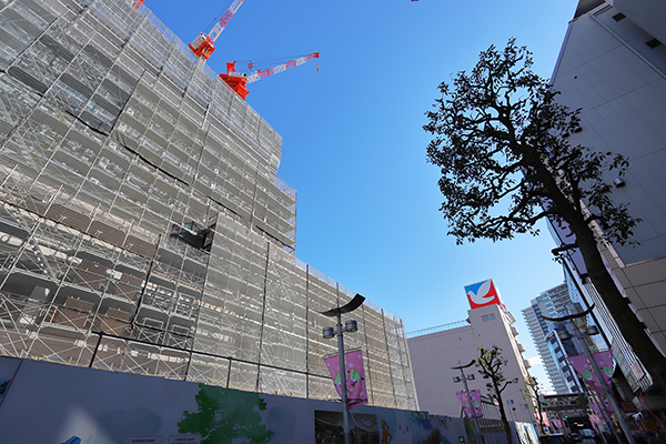 パークシティ小岩 ザ タワー