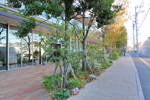 北青山三丁目地区(再)施設建築物建設工事