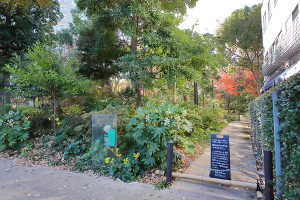 北青山三丁目地区(再)施設建築物建設工事