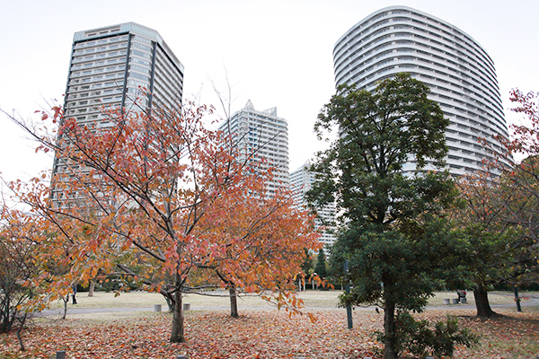 みなとみらい21中央地区52街区開発事業計画