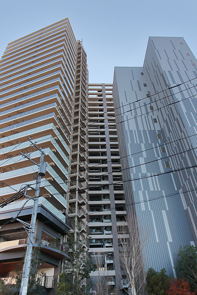 パークタワー向ヶ丘遊園