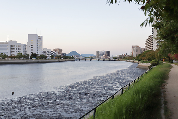 ウエリス皆実町