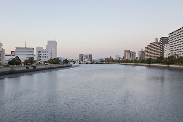 ウエリス皆実町