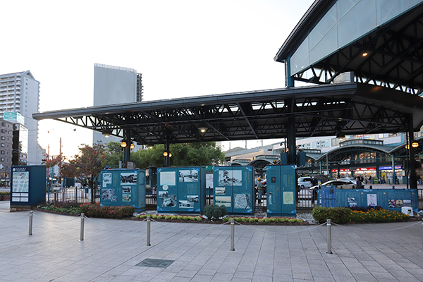 ザ・ライオンズ横川