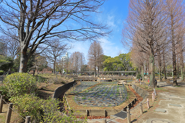 バウス北綾瀬タワー