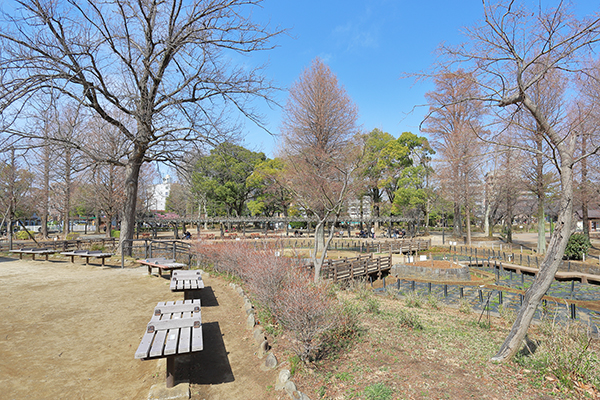 バウス北綾瀬タワー