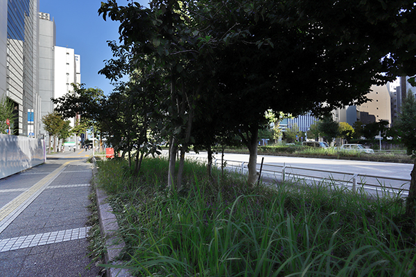 ADC BLD.MARUNOUCHI新築工事