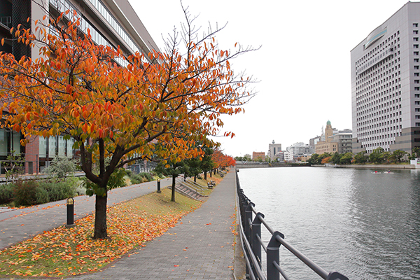 (仮称)横浜市中区海岸通計画(A-1地区)
