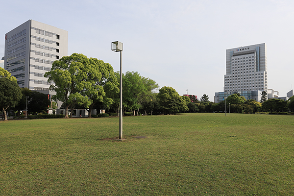 幕張新都心若葉住宅地区計画(B-6街区)