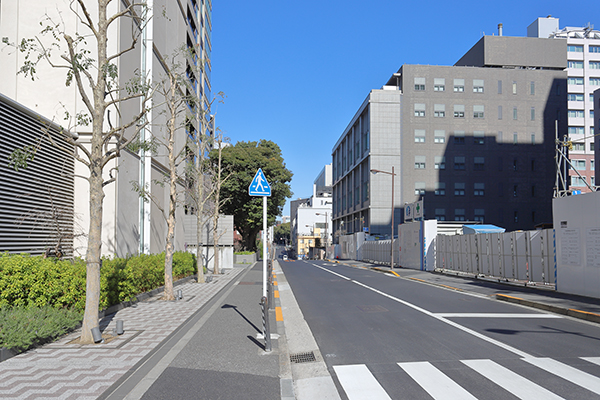 ザ レジデンス 三番町