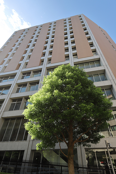 (仮称)本郷ハウスマンション建替事業