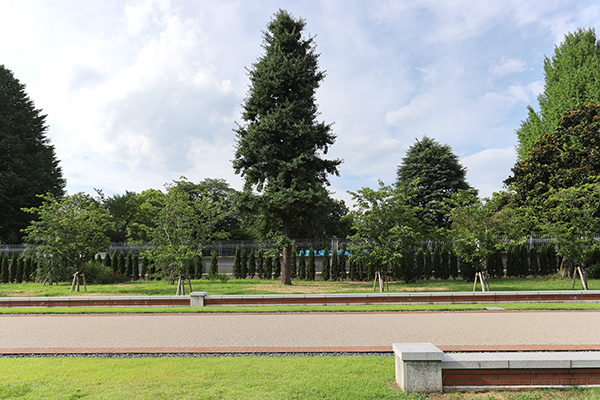 (仮称)千代田区一番町計画