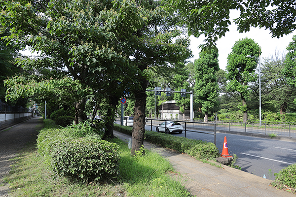 (仮称)千代田区一番町計画