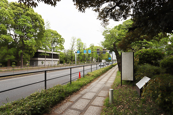 (仮称)千代田区一番町計画