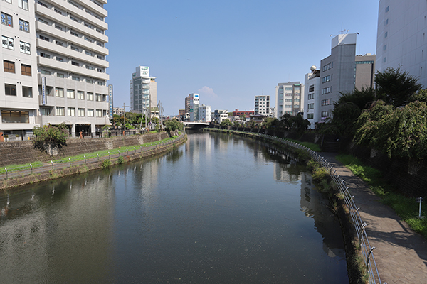 宇都宮駅西口大通り南地区第一種市街地再開発事業